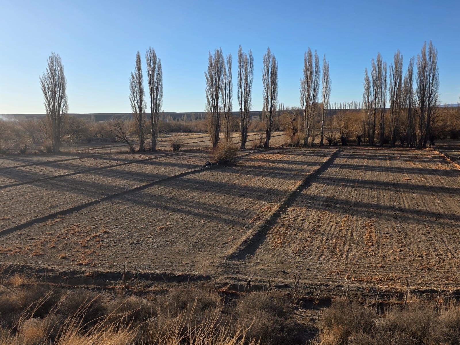 CHACRA PRODUCTIVA CON POTENCIAL TURÍSTICO EN GUALJAINA - 42