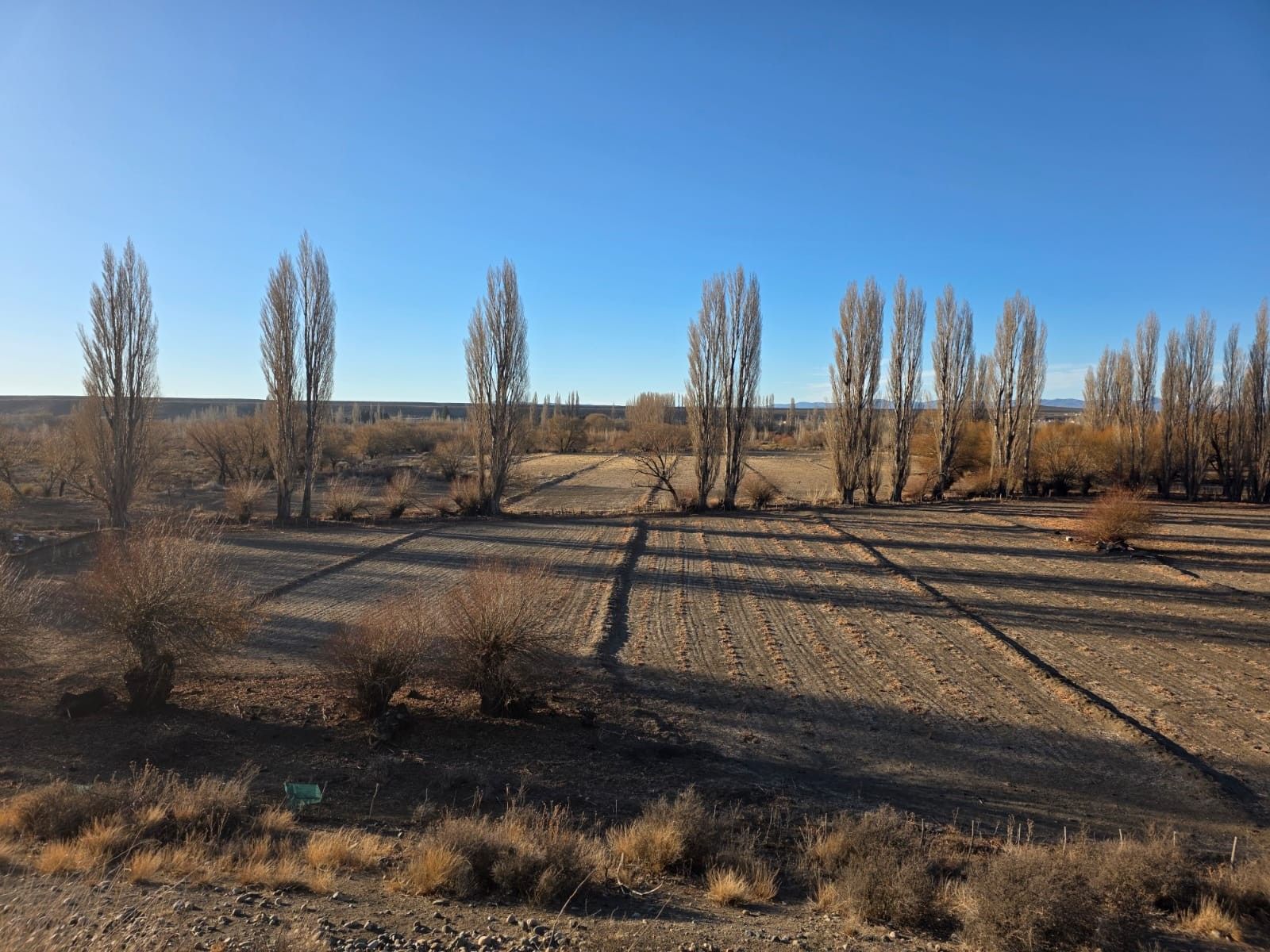 CHACRA PRODUCTIVA CON POTENCIAL TURÍSTICO EN GUALJAINA - 45