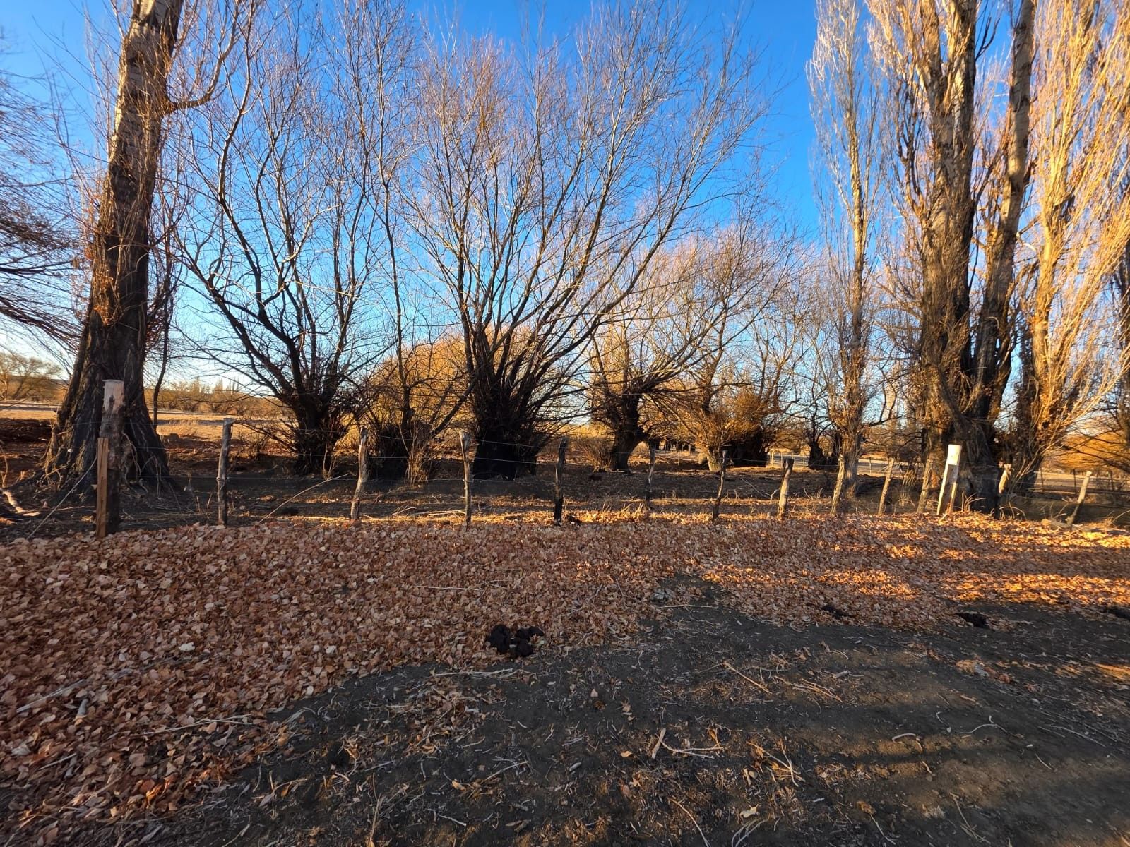 CHACRA PRODUCTIVA CON POTENCIAL TURÍSTICO EN GUALJAINA - 47