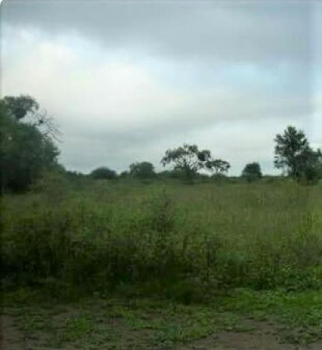 VENDO CAMPO SANTIAGO DEL ESTERO-CHILCA JULIANA - 3