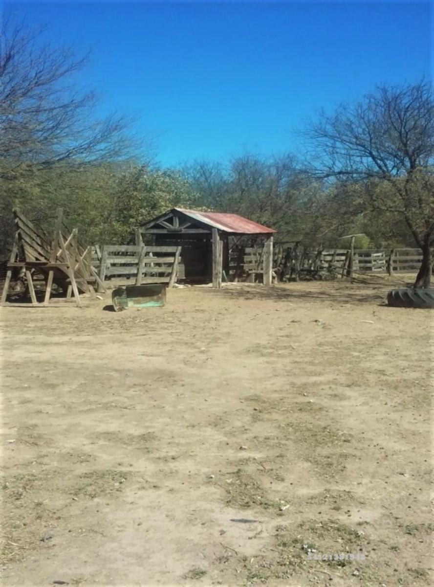 VENDO CAMPO SANTIAGO DEL ESTERO-CHILCA JULIANA - 10