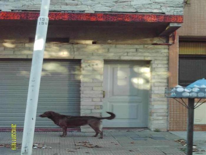 Departamento en Venta en Lomas del Mirador, La Matanza, Buenos Aires — foto 7