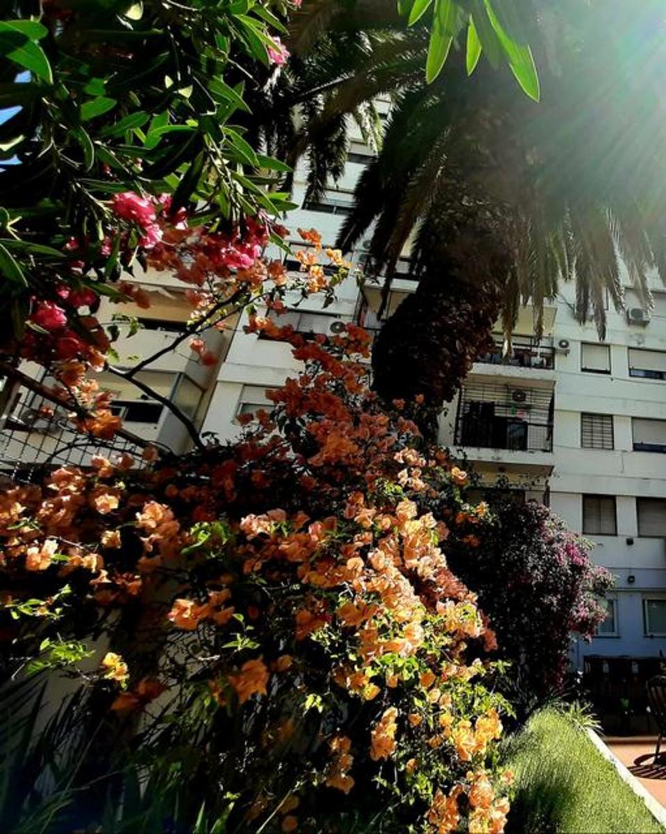 Villa Crespo- Depto. 3 ambientes con gran jardin, como vivir en una casa. Hecho a nuevo. — foto 14