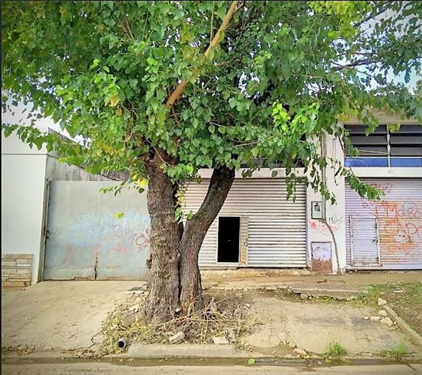 Galpón/Deposito/local de 70m2 al frente sobre lote de 10 x 50 — foto 5
