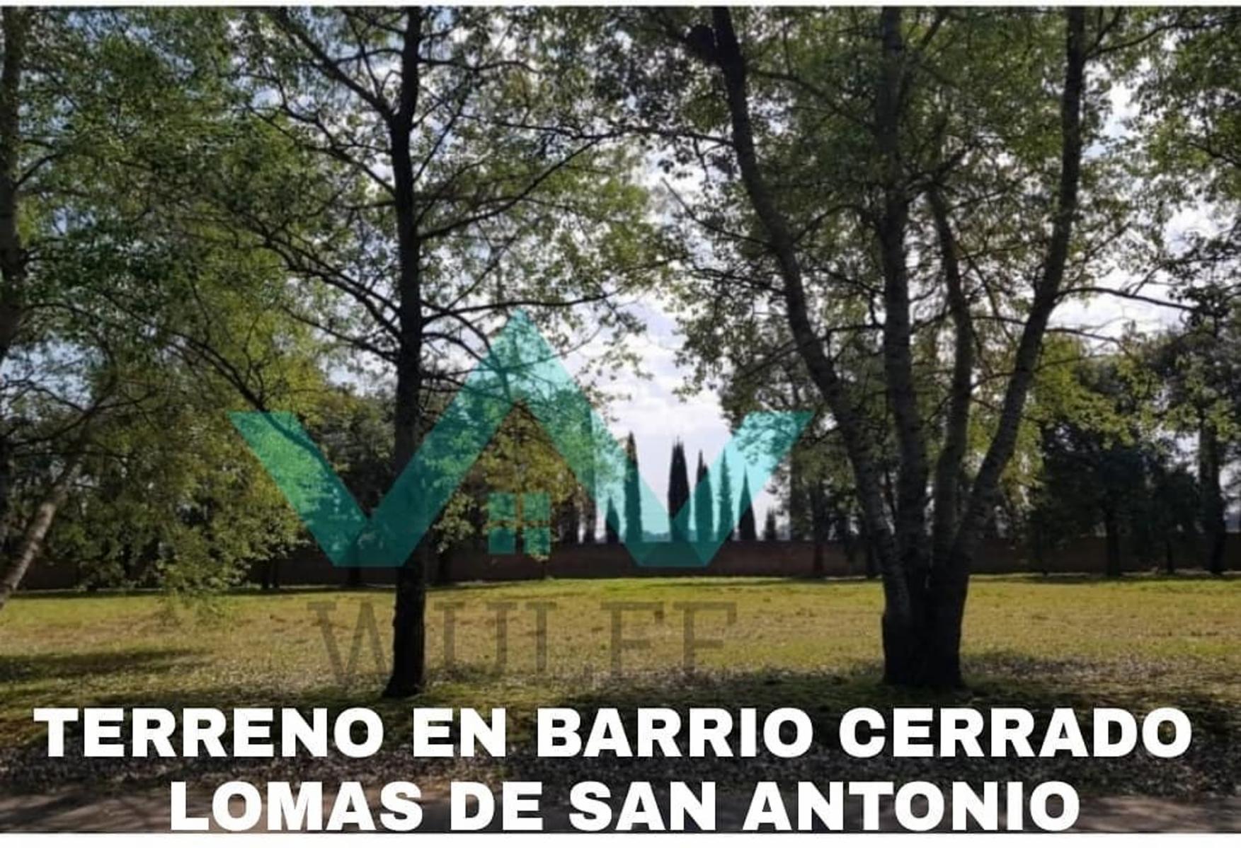 LOTE DE LOMA DE SAN ANTONIO