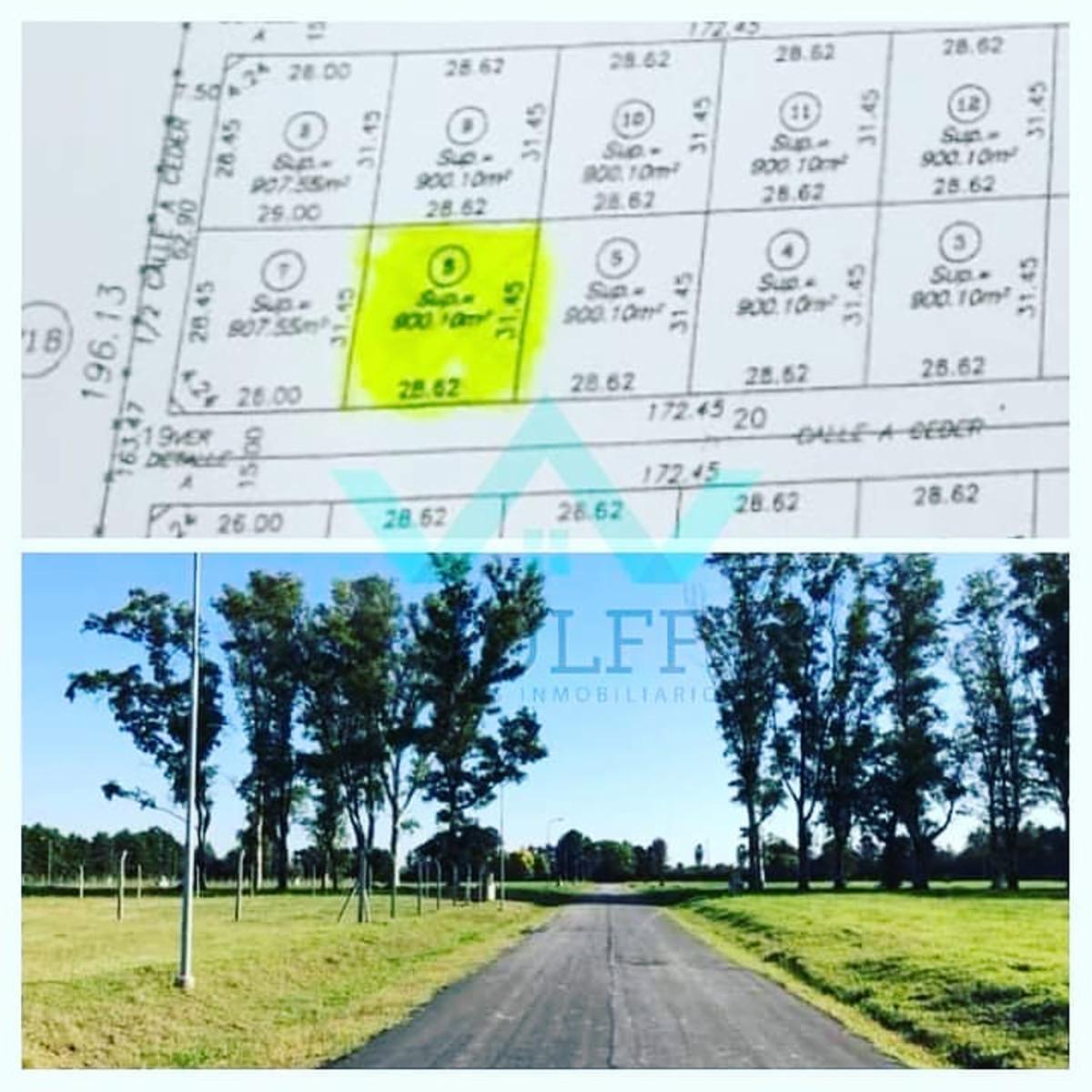 LOTE EB LA MARTINA 2