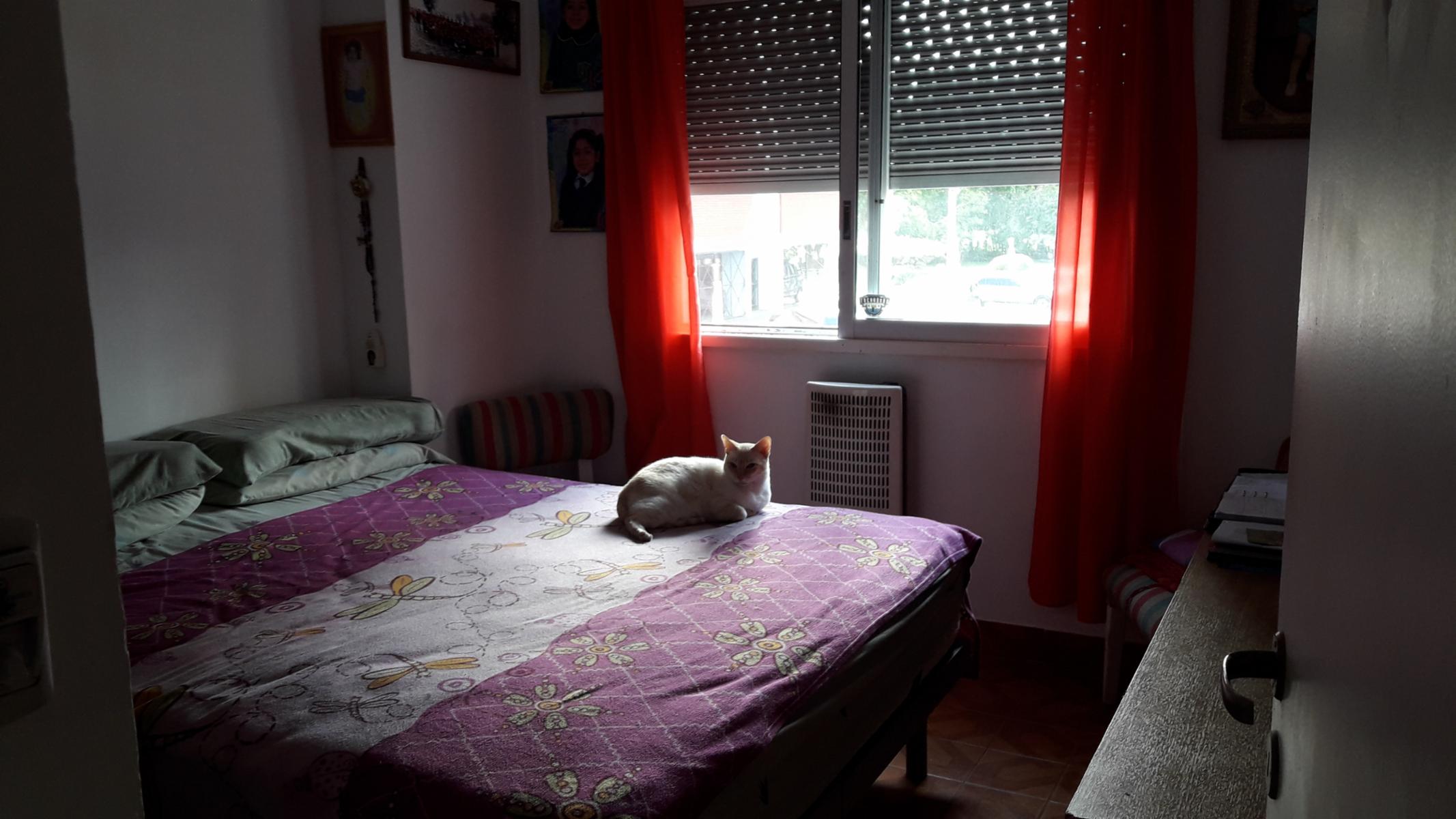 VENTA - CIUDAD MADERO - DEPTO 3 AMB - COD 1519 — foto 2