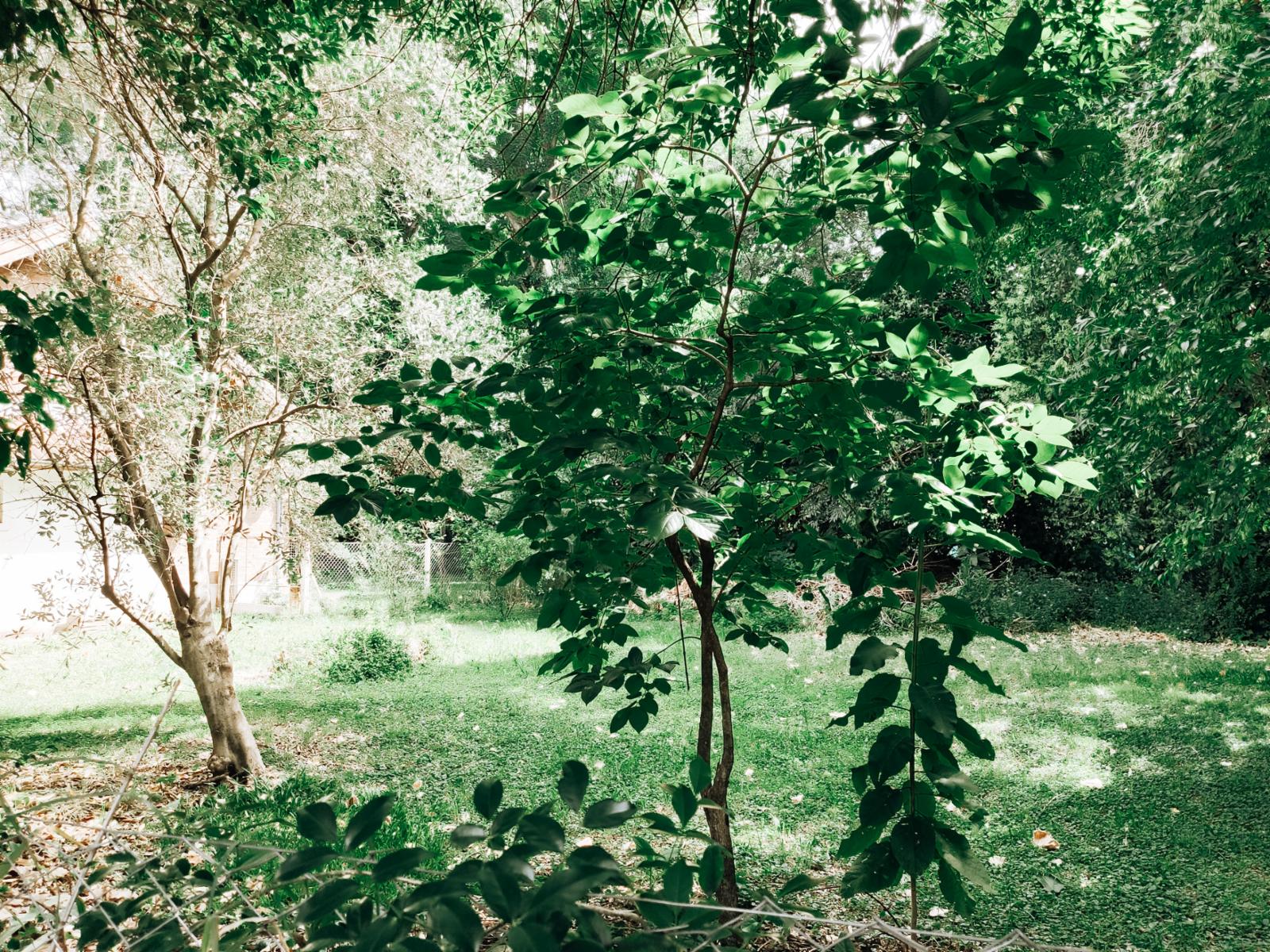 Hermoso lote de terreno en barrio cerrado &quotLa Leonor&quot