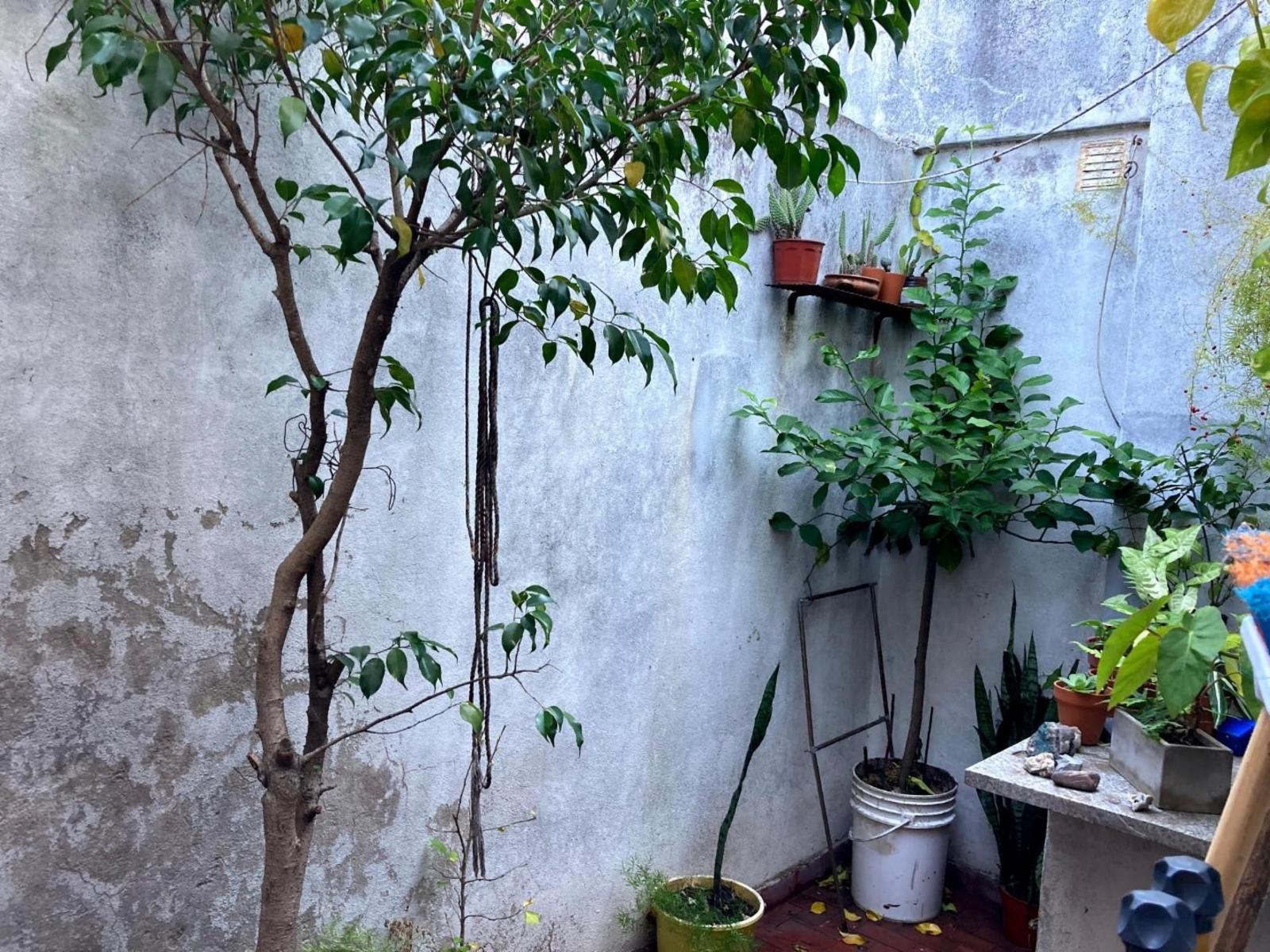 Departamento 2 ambientes con patio — foto 9