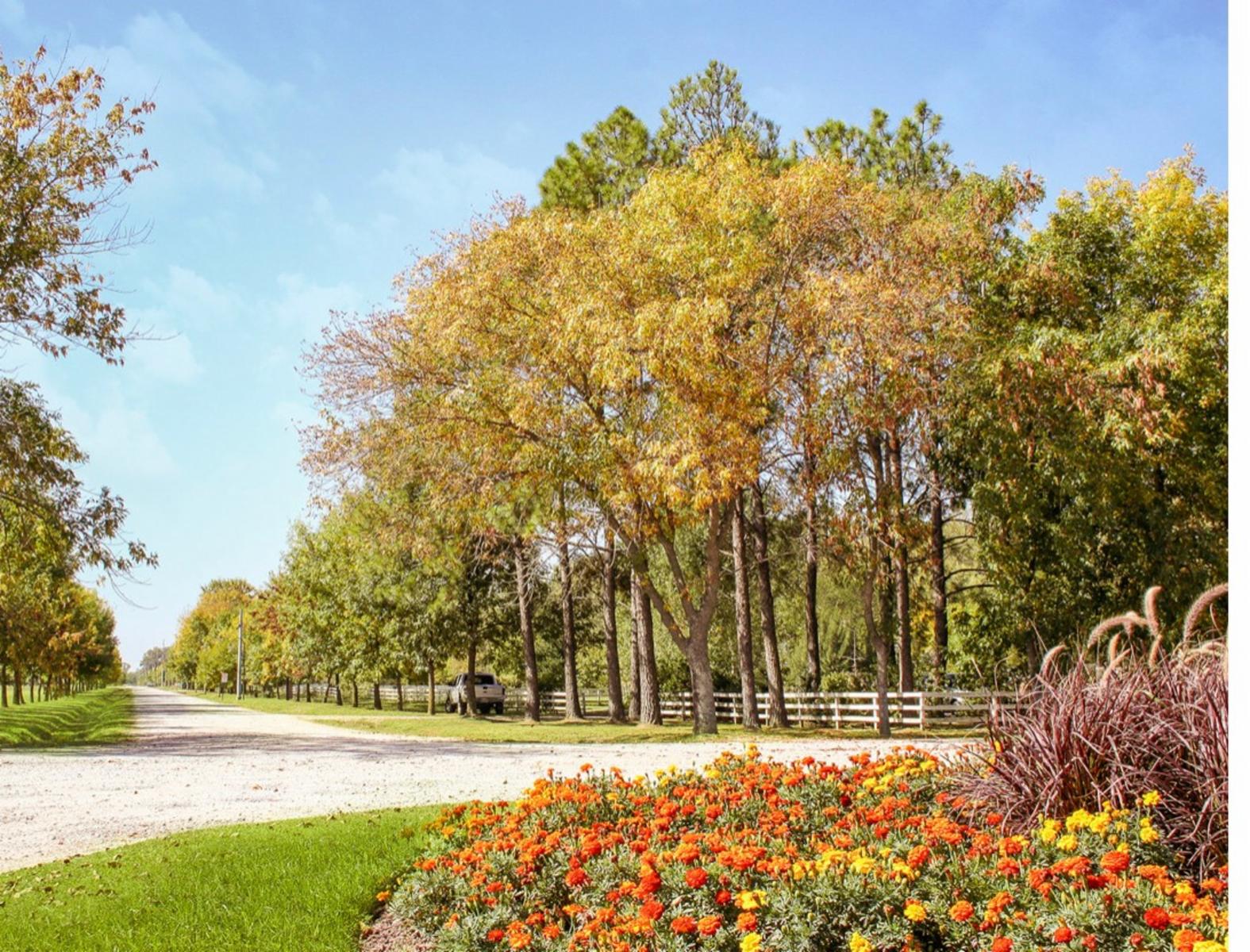 VENTA DE LOTE FINCA JOVEN DE SAN VICENTE GOLF — foto 4