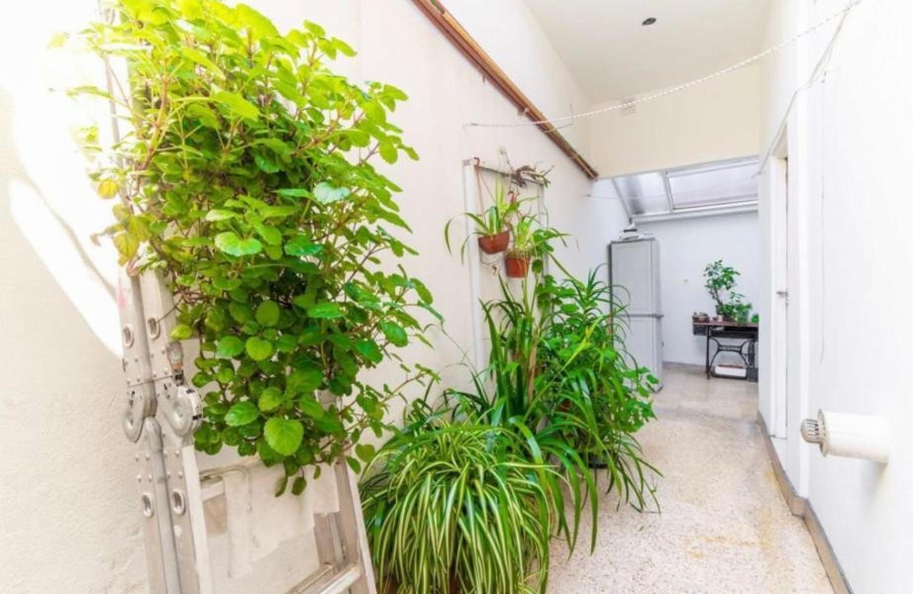 Vente depto 3 amb en planta baja, con patio — foto 13