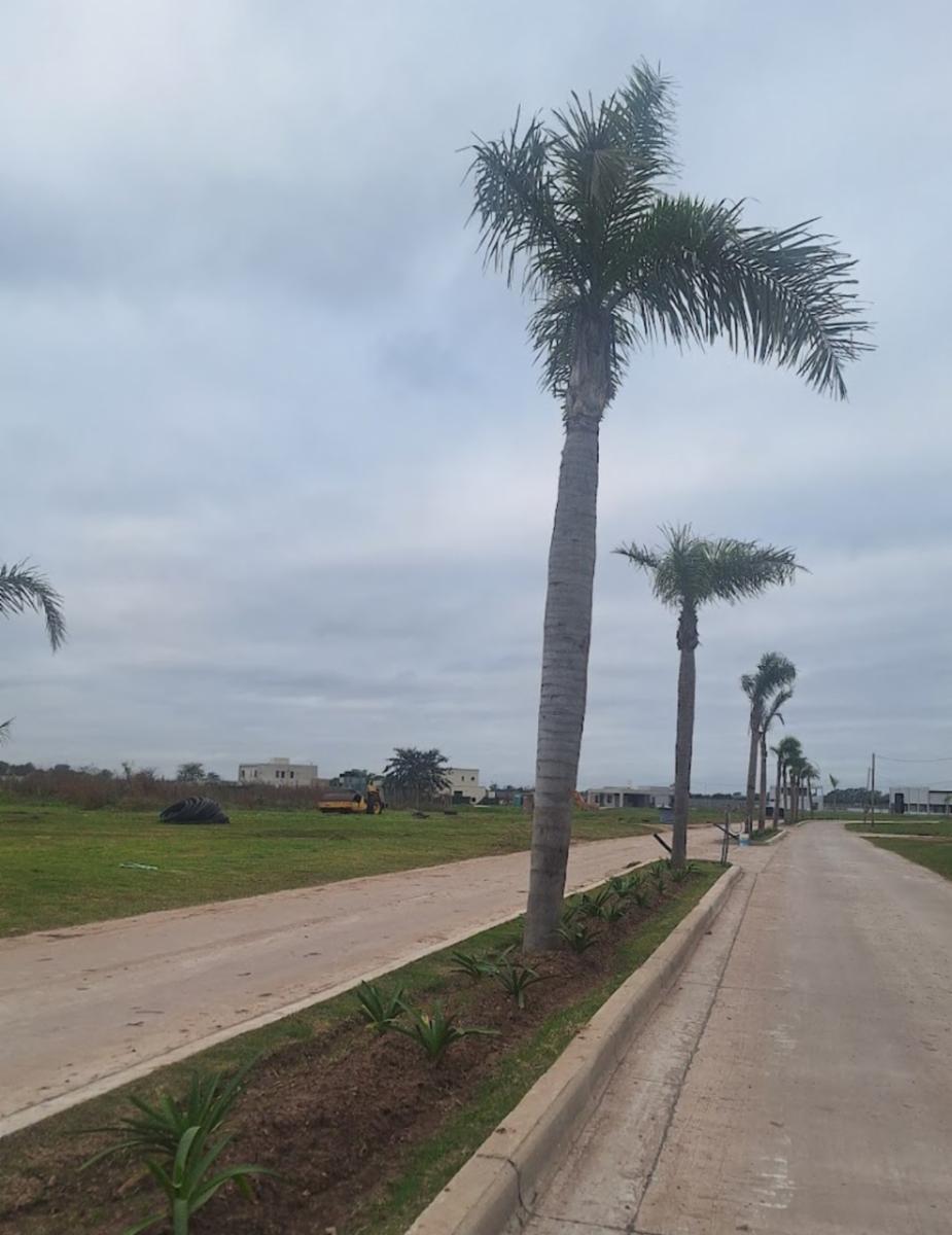 Venta de lote en lagos de canning 2 — foto 6