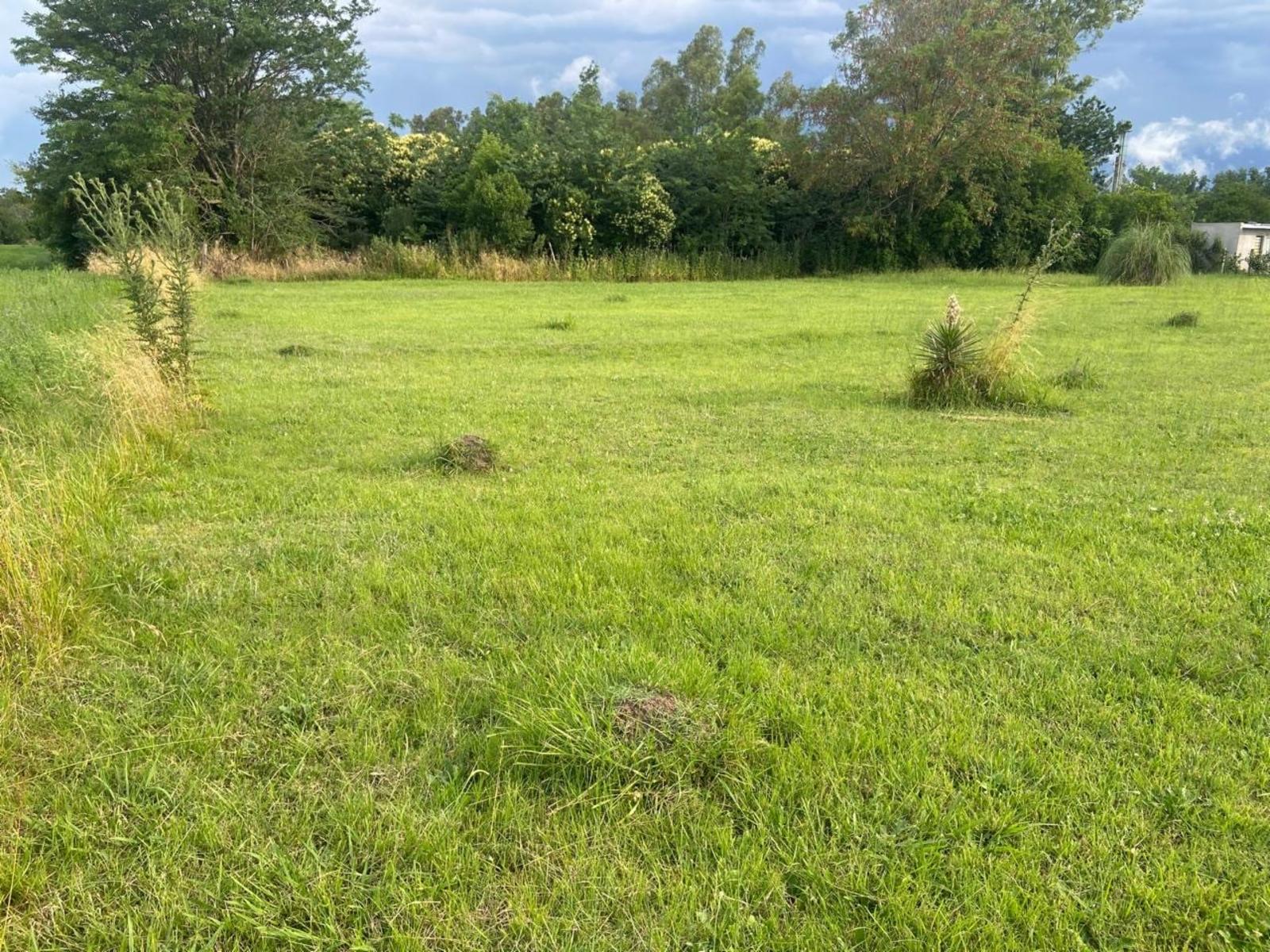 VENTA DE TERRENO EN LAS GARDENIAS-PETIÓN — foto 9