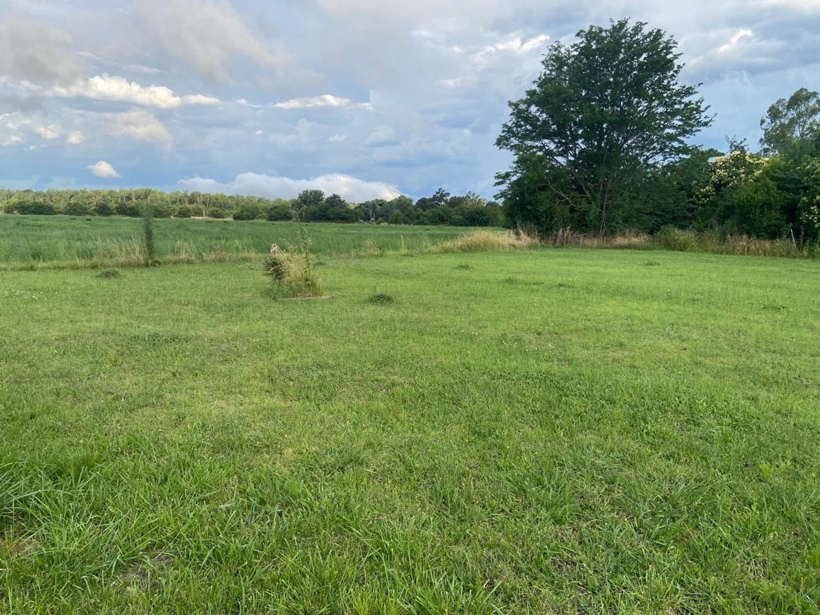VENTA DE TERRENO EN LAS GARDENIAS-PETIÓN — foto 10