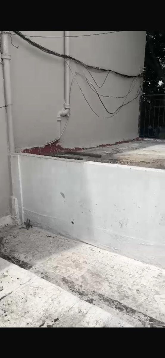 Venta Casa 4 Ambientes -A Reciclar - Con Cochera — foto 11