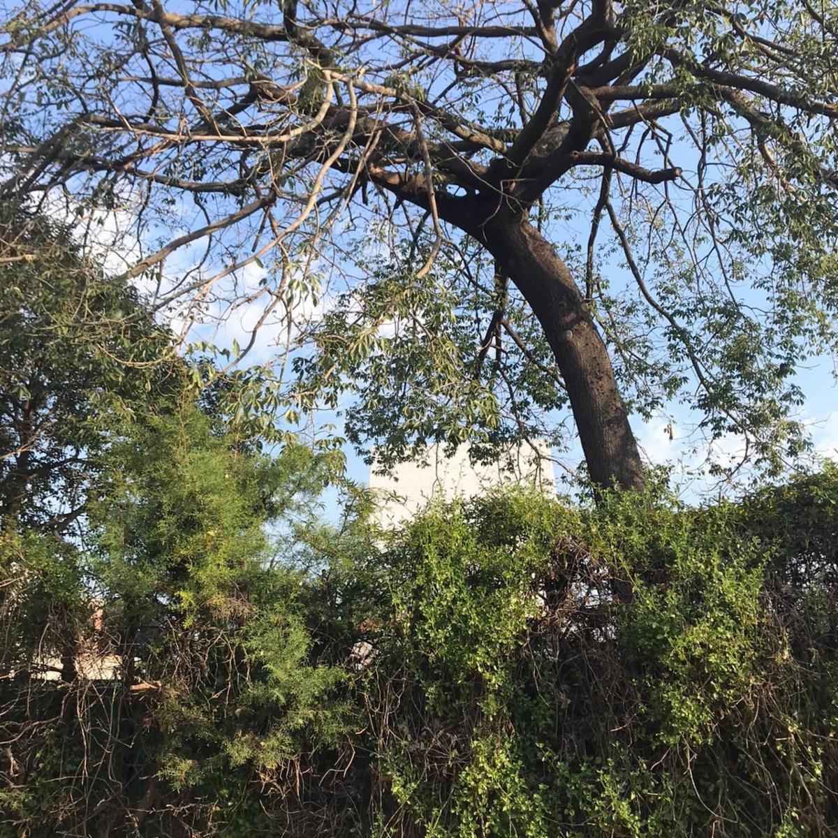 QUINTA ROSETTI 2700 SAN MIGUEL - 1