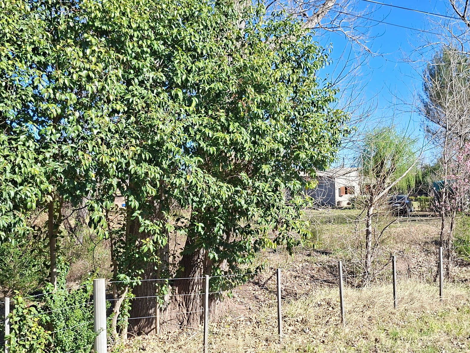 VENDO CASA QUINTA SAN PABLO SAN LUIS - 6