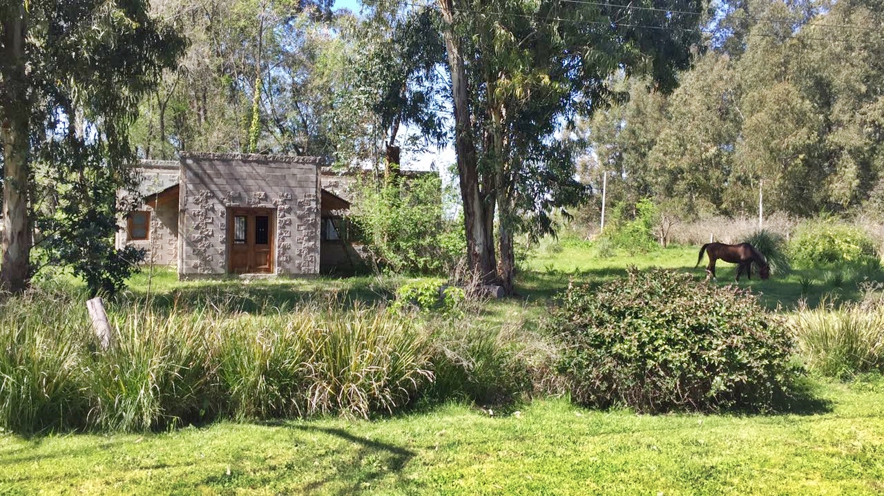 Venta de lote en Exaltación De La Cruz, km 80 — foto 2