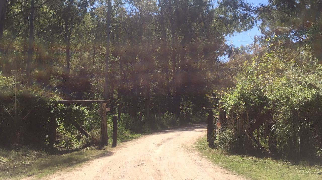 Venta de lote en Exaltación De La Cruz, km 80 — foto 3