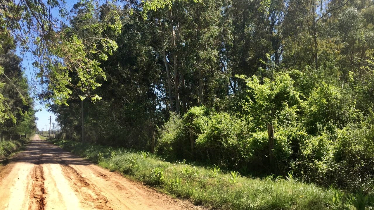 Venta de lote en Exaltación De La Cruz, km 80 — foto 5