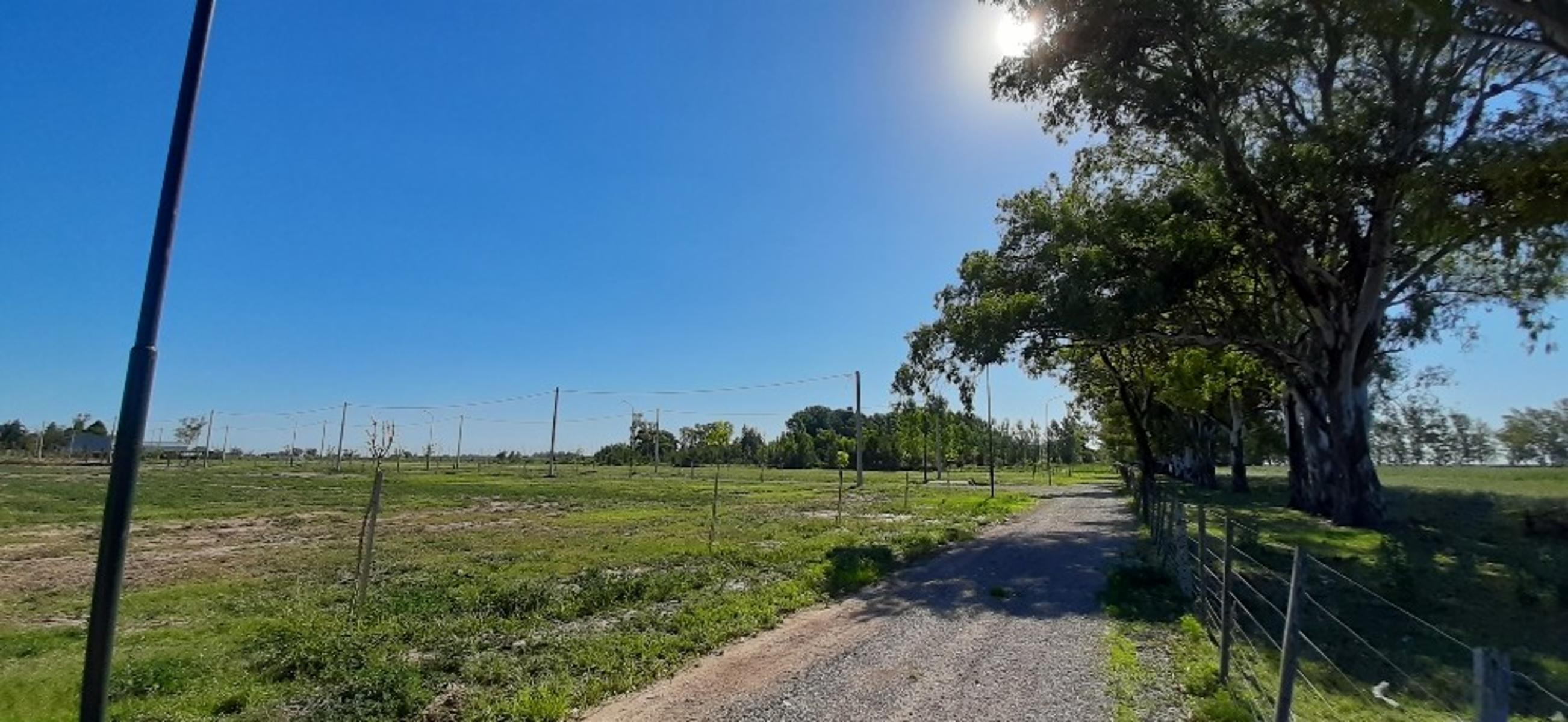 Barrio abierto Los Pinos 3 — foto 3