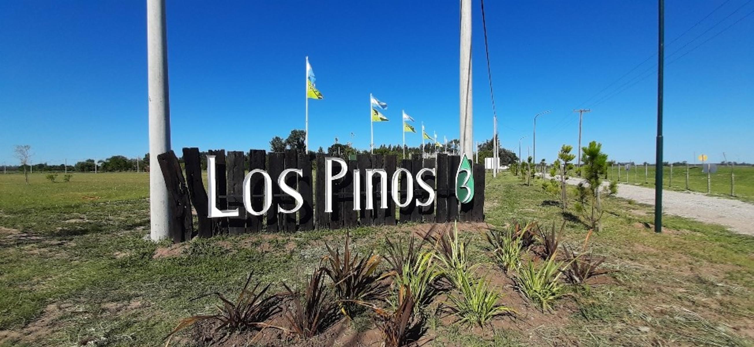 Barrio abierto Los Pinos 3 — foto 8