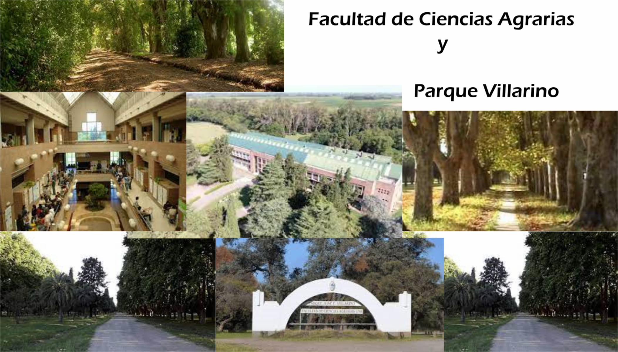 Barrio abierto Parque Zavalla último terreno. Momentáneamente suspendida, consular — foto 6