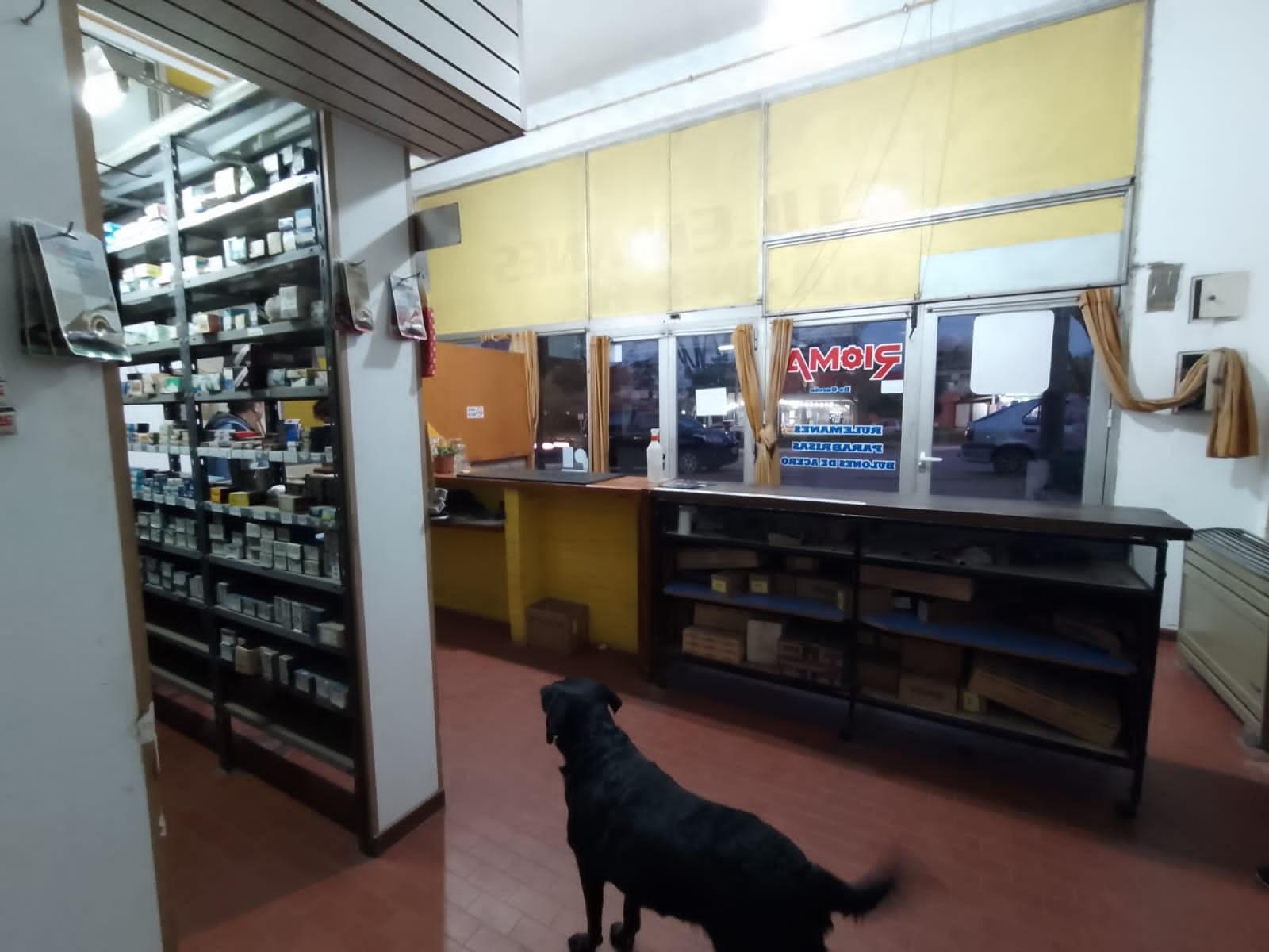 EN VENTA LOCAL COMERCIAL EN EXCELENTE UBICACION — foto 4