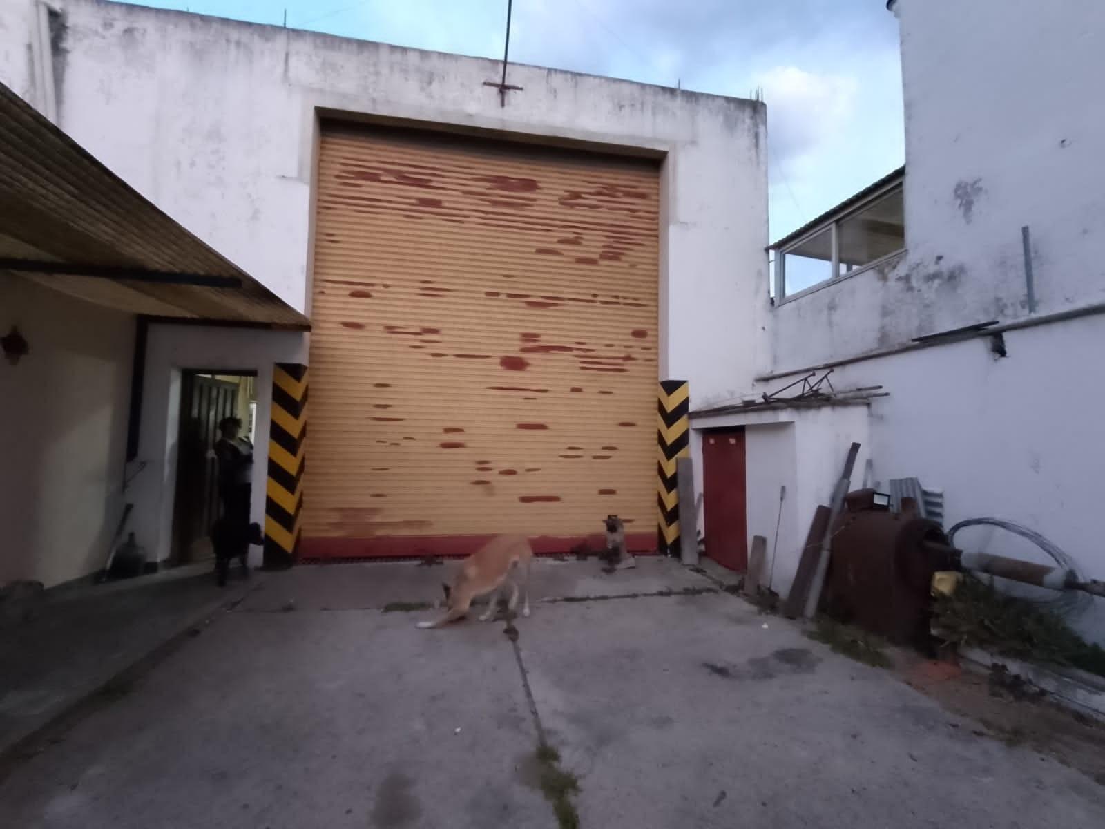 EN VENTA LOCAL COMERCIAL EN EXCELENTE UBICACION — foto 8