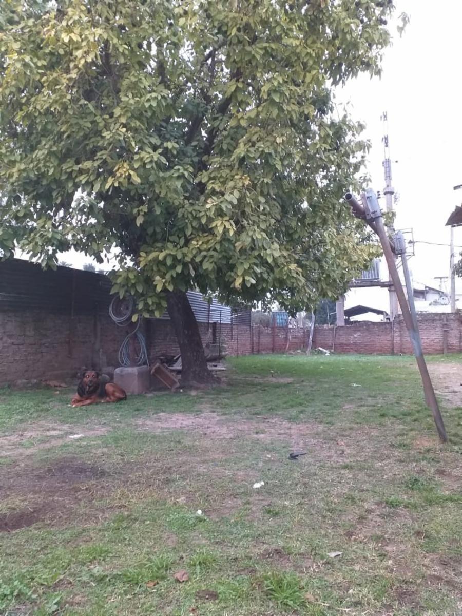 LOTE SOBRE HEROES DE FOURNIER Y RAWSON ES ESQUINA 19,50 METROS X 10 METROS CON ESCRITURA HAY OTRO LOTE LINDERO DISPONIBLE DE 10 METROS X 20 METROS SE VENDEN JUNTOS O POR SEPARADO — foto 8