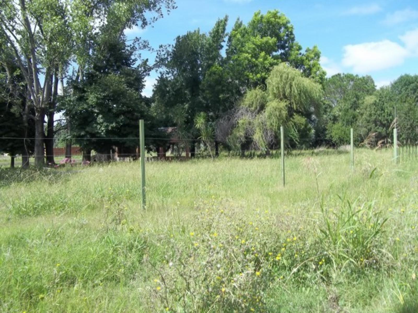 EXCELENTE FRACCION DE CASI 5000 M2 EN AVDA CORRIENTES (EX RUTA 24) Y DAVILA GENERAL RODRIGUEZ SOBRE ASFALTO A METROS DE RUTA 7 Y PROXIMO AL ACCESO OESTE. — foto 4