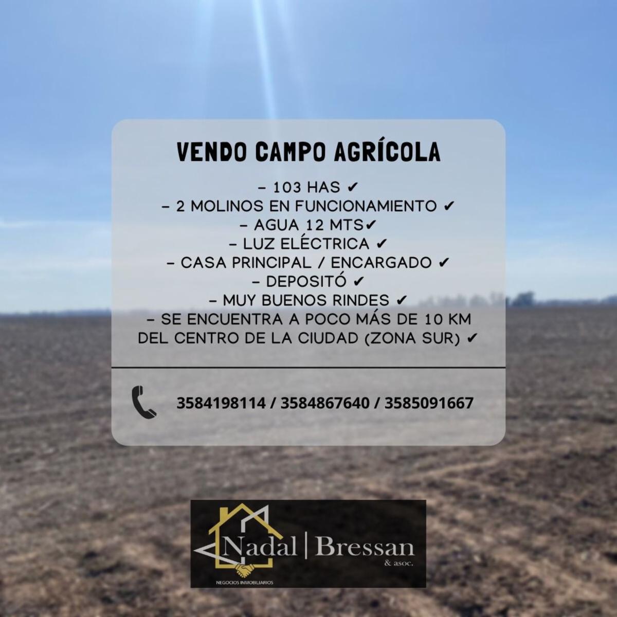 CAMPO AGRÍCOLA EN VENTA - 1