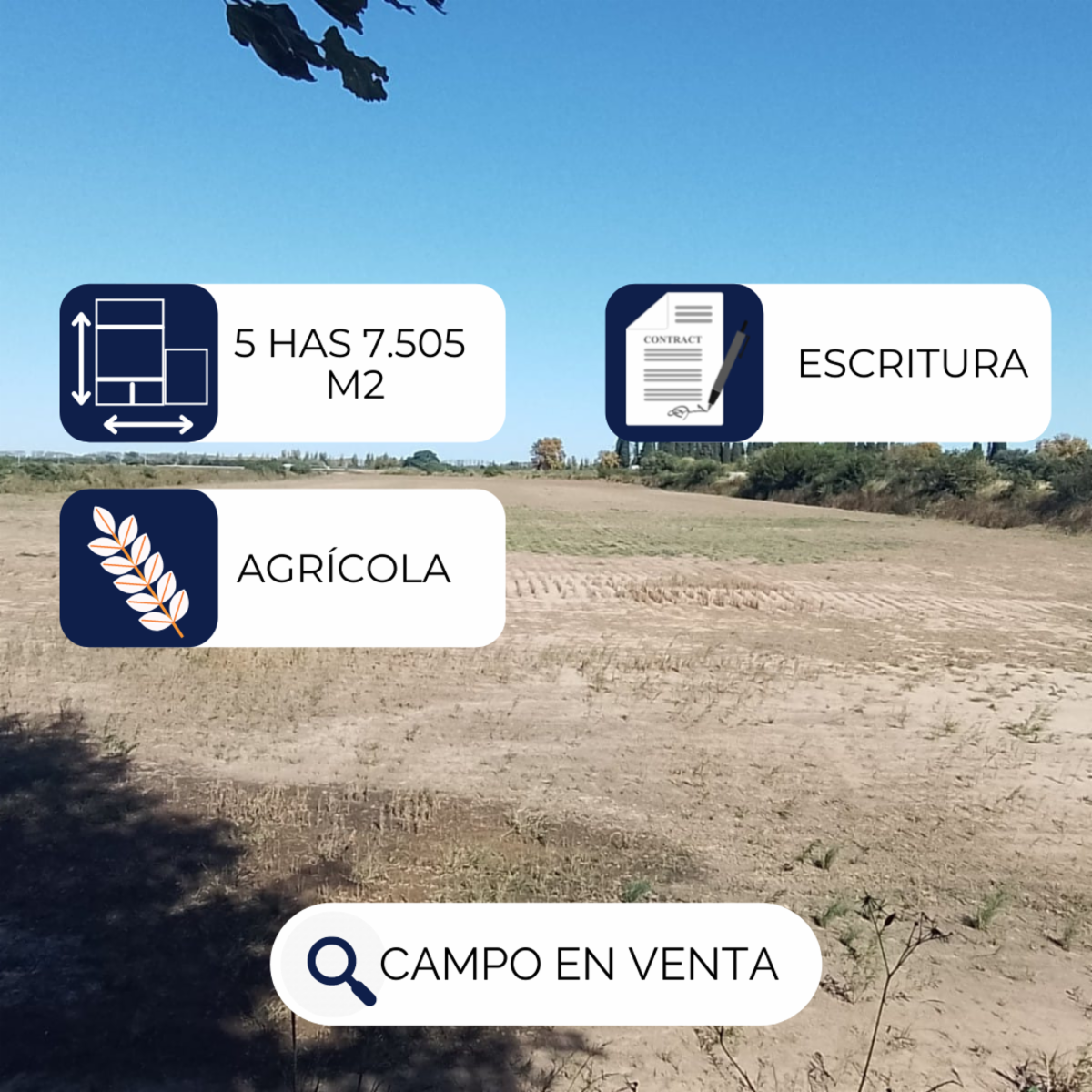 VENTA / 5 HECTÁREAS 7.505 m2, Colonia Caroya. - 2