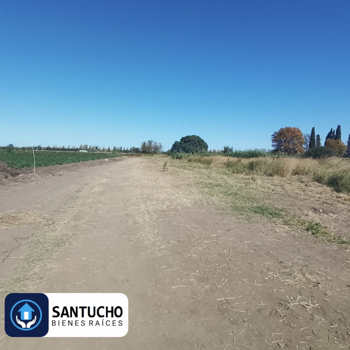 VENTA / 5 HECTÁREAS 7.505 m2, Colonia Caroya. - 6