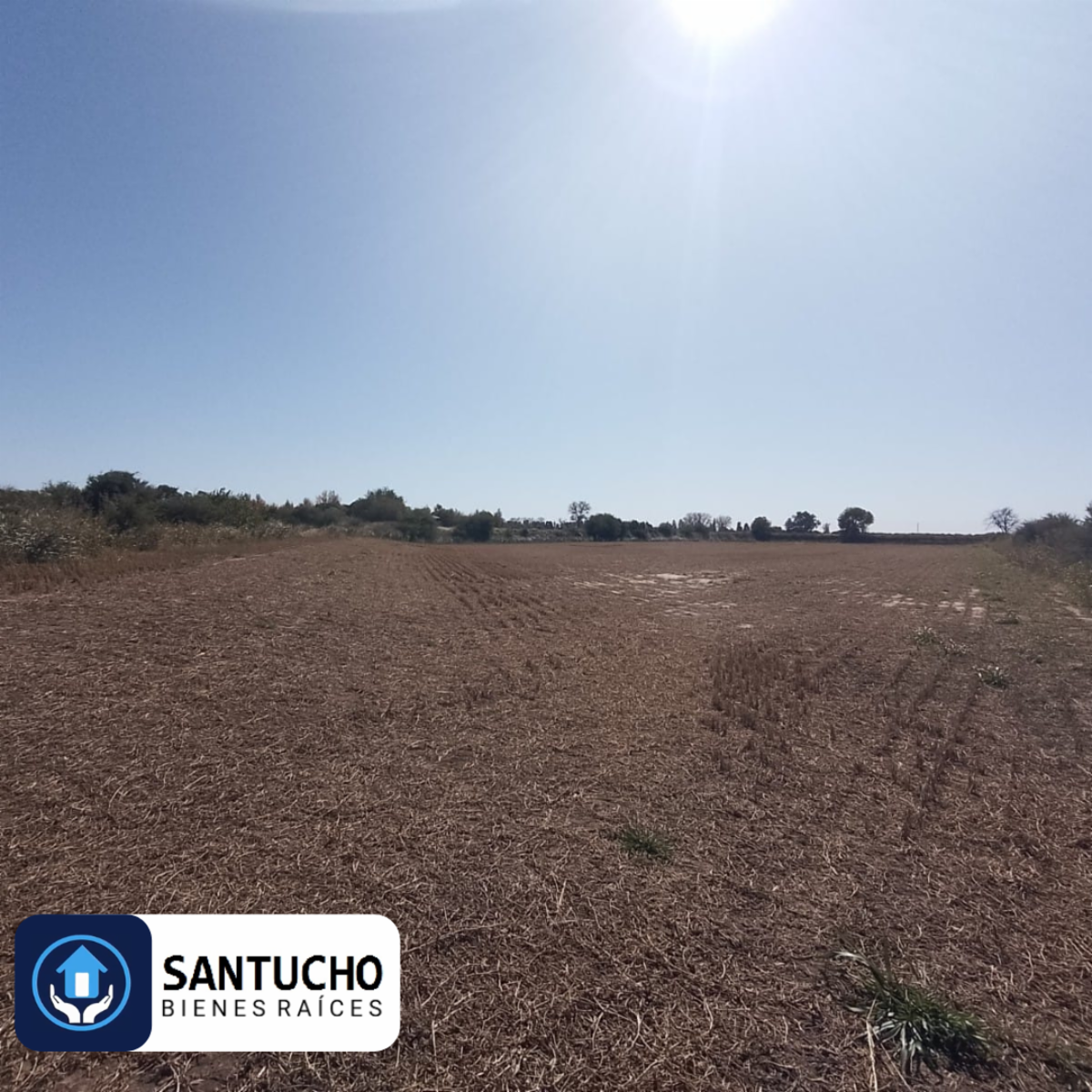 VENTA / 5 HECTÁREAS 7.505 m2, Colonia Caroya. - 7