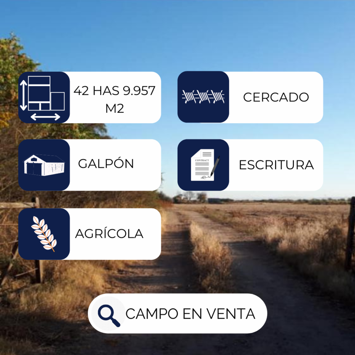 VENTA / 42 HECTÁREAS 9.957 m2, Colonia Caroya. - 2