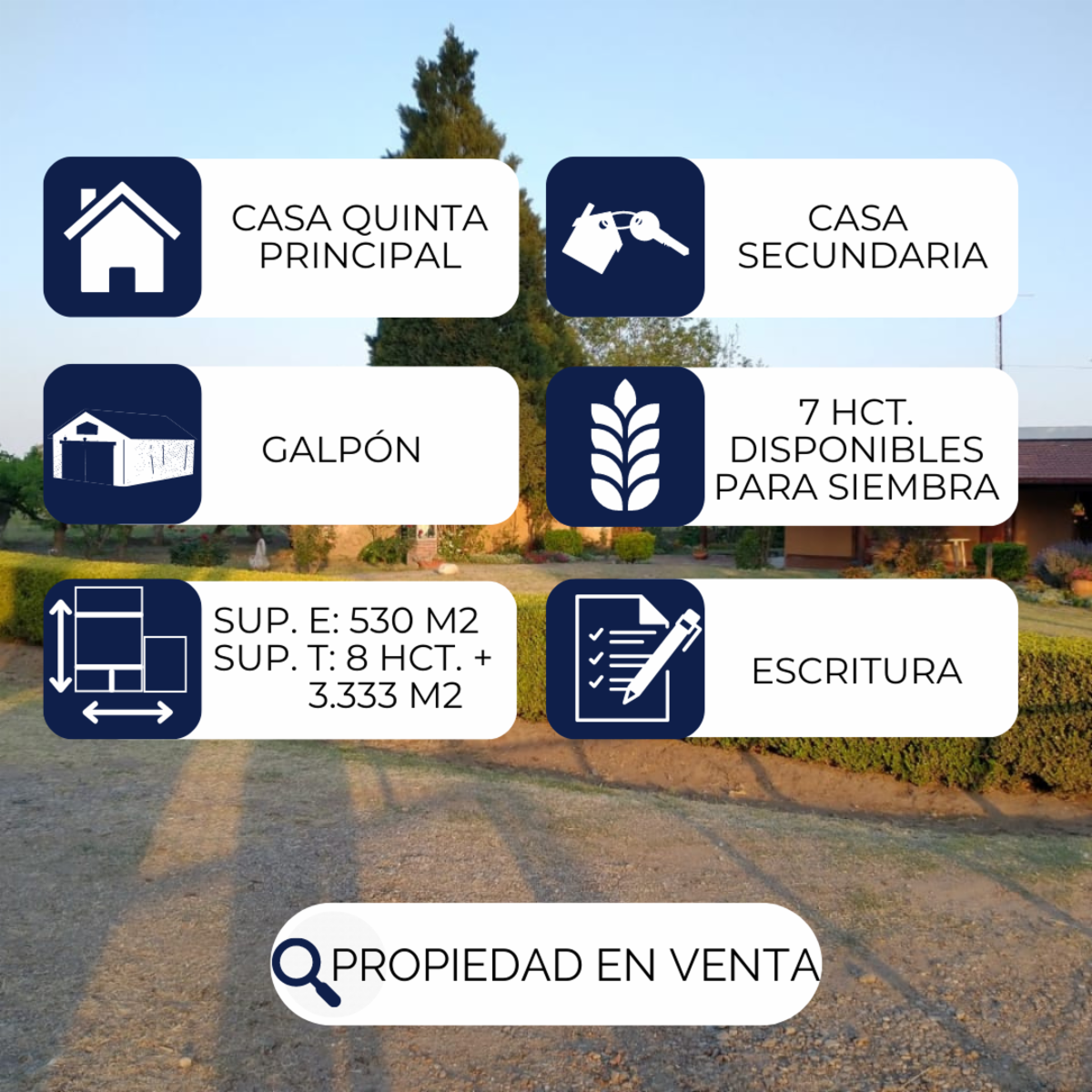 ATENCIÓN/ IMPORTANTE PROPIEDAD EN VENTA: CASA QUINTA PRINCIPAL + CASA SECUNDARIA + GALPÓN + 7 HCT. PARA LA SIEMBRA - 2