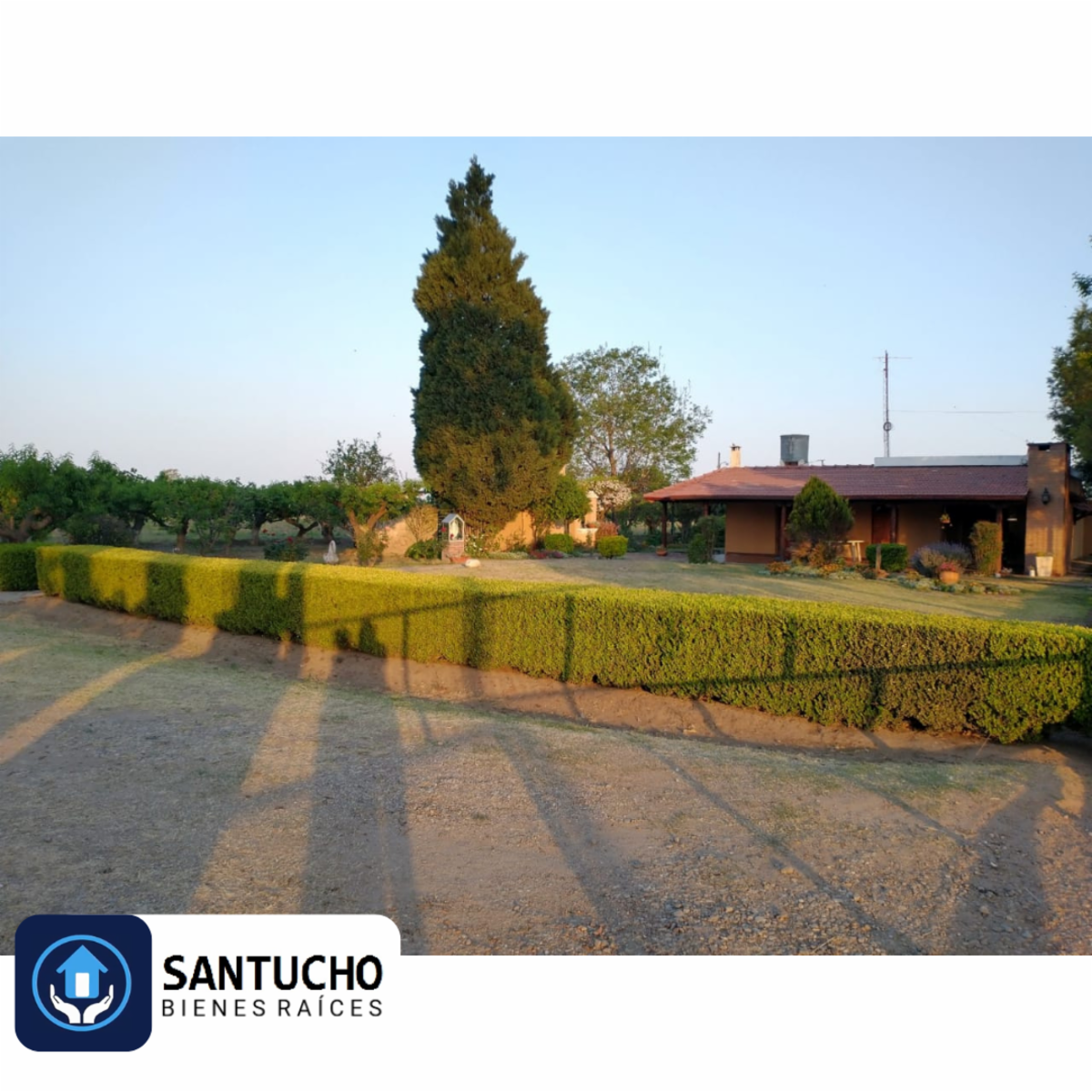 ATENCIÓN/ IMPORTANTE PROPIEDAD EN VENTA: CASA QUINTA PRINCIPAL + CASA SECUNDARIA + GALPÓN + 7 HCT. PARA LA SIEMBRA - 3
