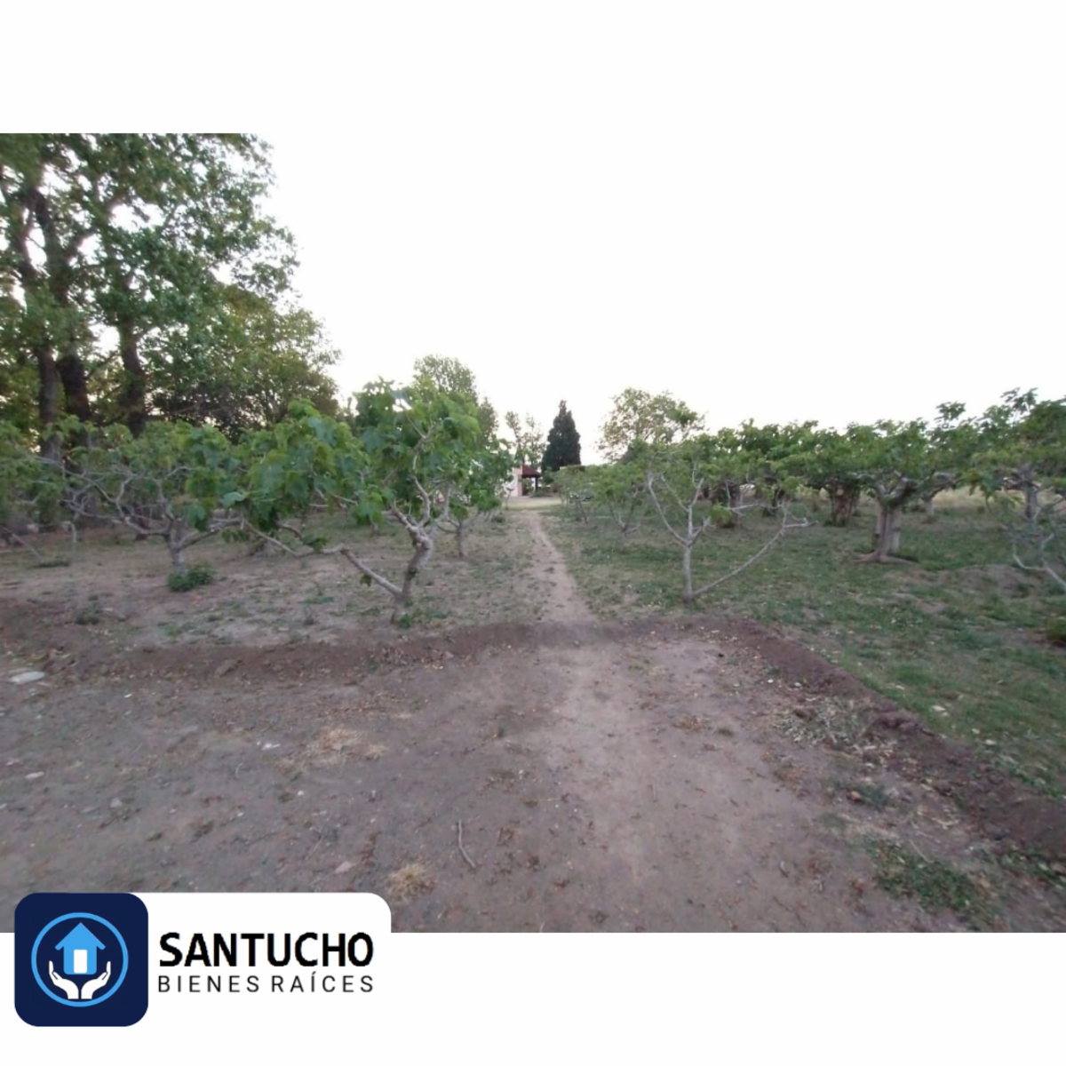 ATENCIÓN/ IMPORTANTE PROPIEDAD EN VENTA: CASA QUINTA PRINCIPAL + CASA SECUNDARIA + GALPÓN + 7 HCT. PARA LA SIEMBRA - 53