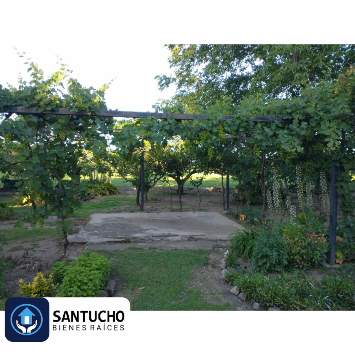 ATENCIÓN/ IMPORTANTE PROPIEDAD EN VENTA: CASA QUINTA PRINCIPAL + CASA SECUNDARIA + GALPÓN + 7 HCT. PARA LA SIEMBRA - 55