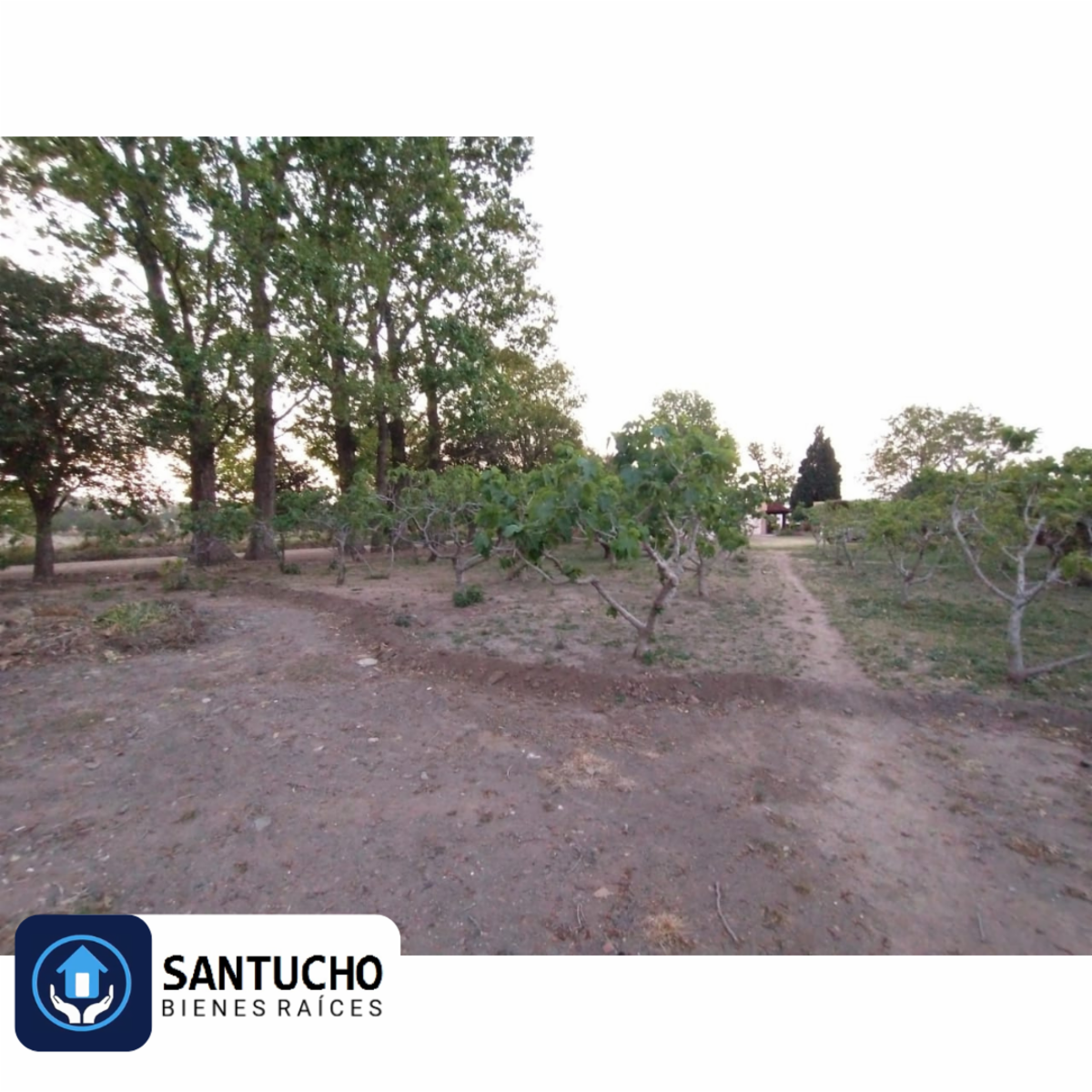 ATENCIÓN/ IMPORTANTE PROPIEDAD EN VENTA: CASA QUINTA PRINCIPAL + CASA SECUNDARIA + GALPÓN + 7 HCT. PARA LA SIEMBRA - 56