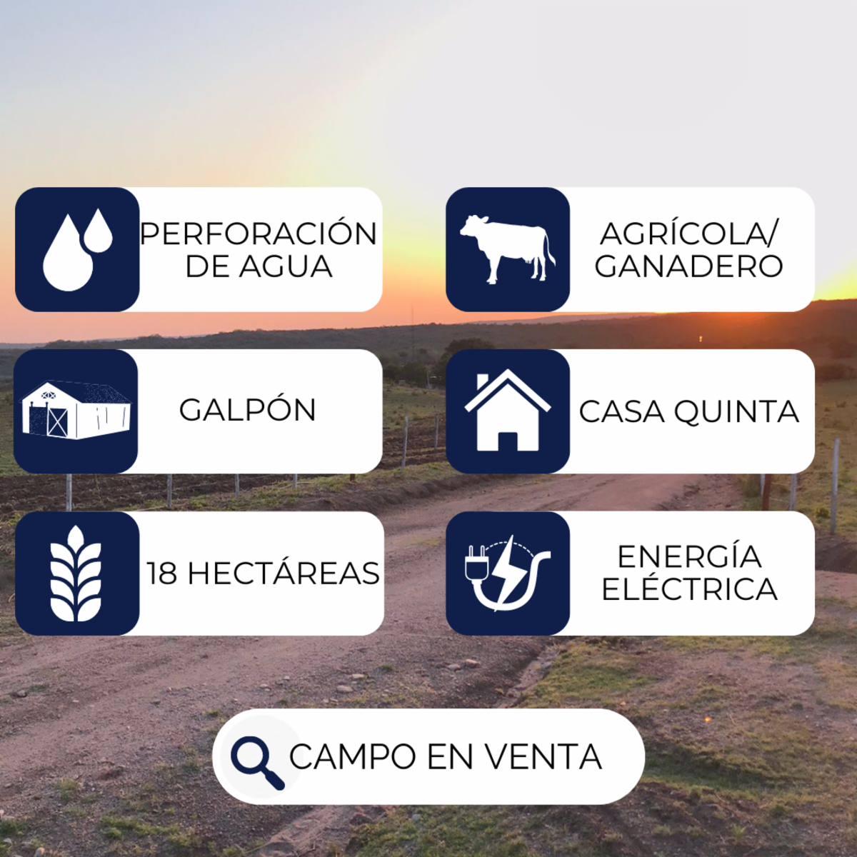 ATENCIÓN/ CAMPO EN VENTA: CASA PRINCIPAL + GALPÓN + 18 HAS - 2