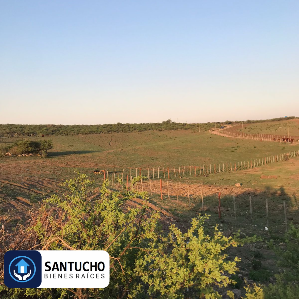 ATENCIÓN/ CAMPO EN VENTA: CASA PRINCIPAL + GALPÓN + 18 HAS - 9