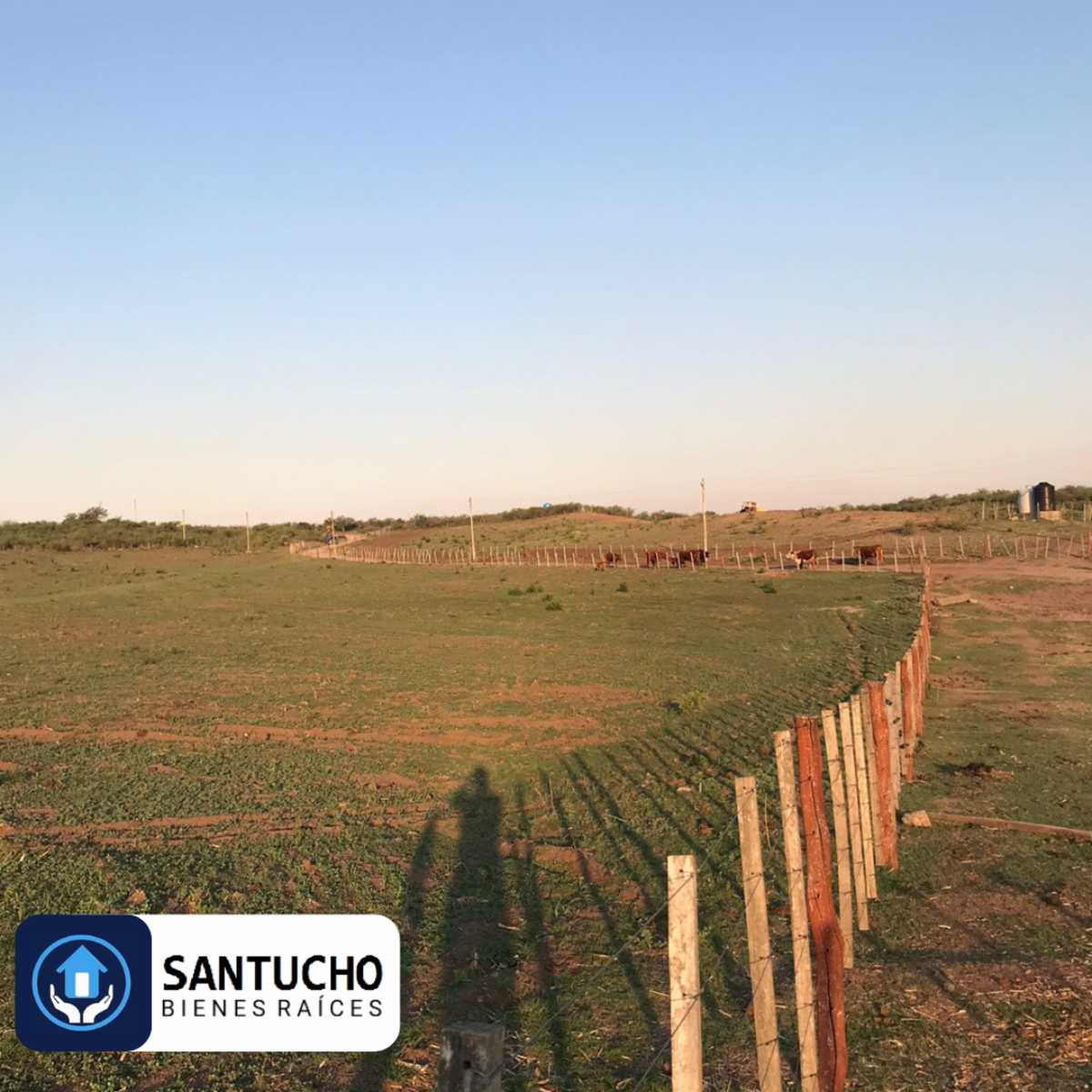 ATENCIÓN/ CAMPO EN VENTA: CASA PRINCIPAL + GALPÓN + 18 HAS - 10
