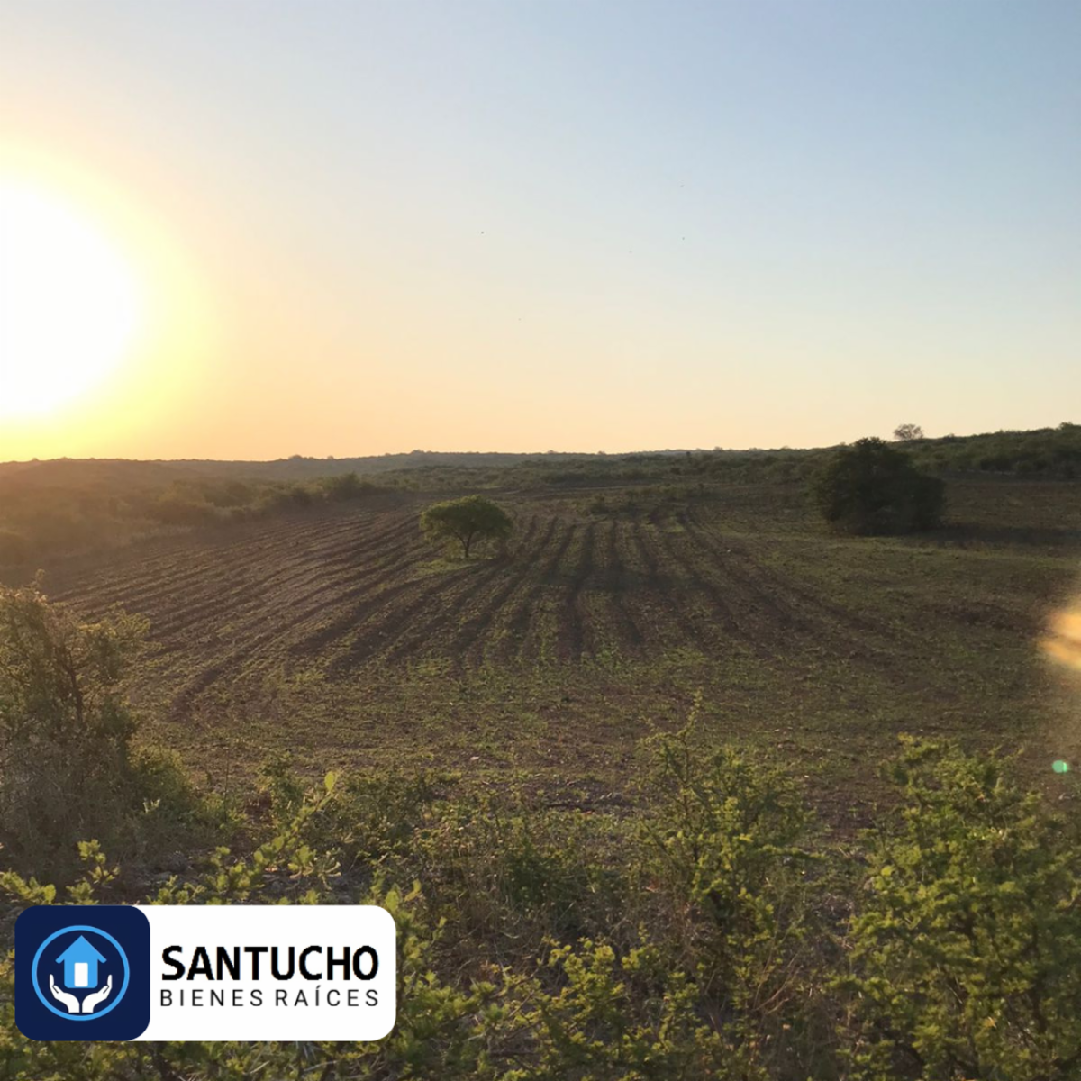 ATENCIÓN/ CAMPO EN VENTA: CASA PRINCIPAL + GALPÓN + 18 HAS - 14