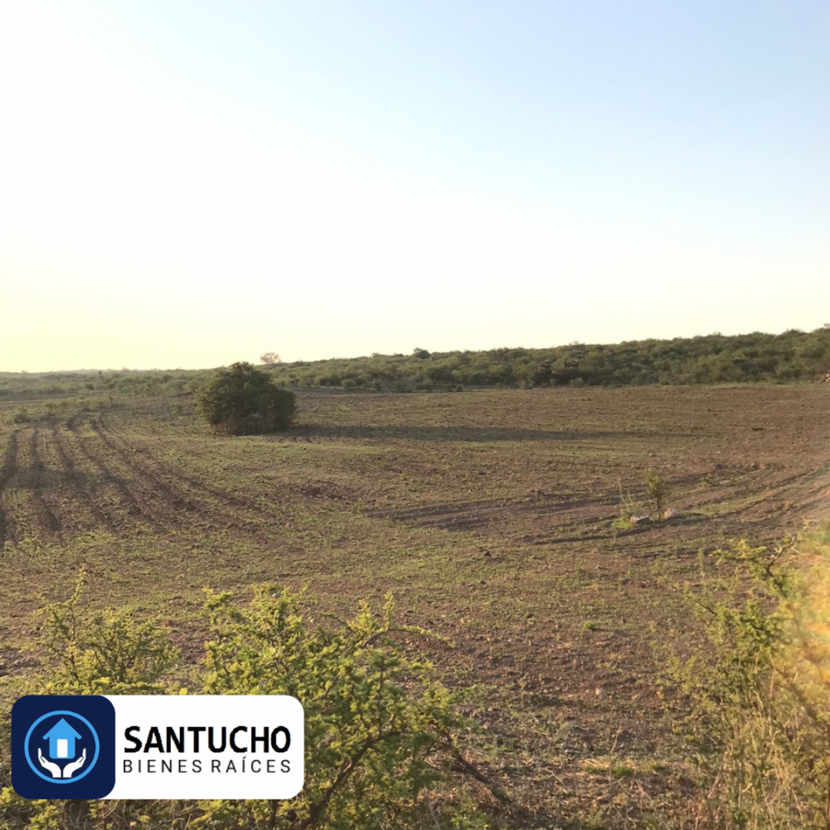 ATENCIÓN/ CAMPO EN VENTA: CASA PRINCIPAL + GALPÓN + 18 HAS - 15