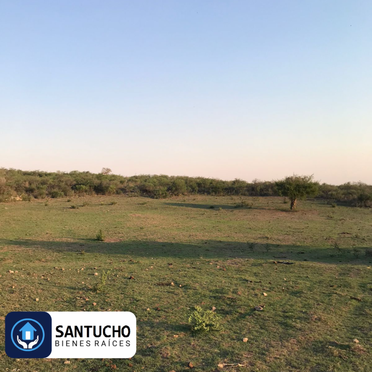 ATENCIÓN/ CAMPO EN VENTA: CASA PRINCIPAL + GALPÓN + 18 HAS - 26