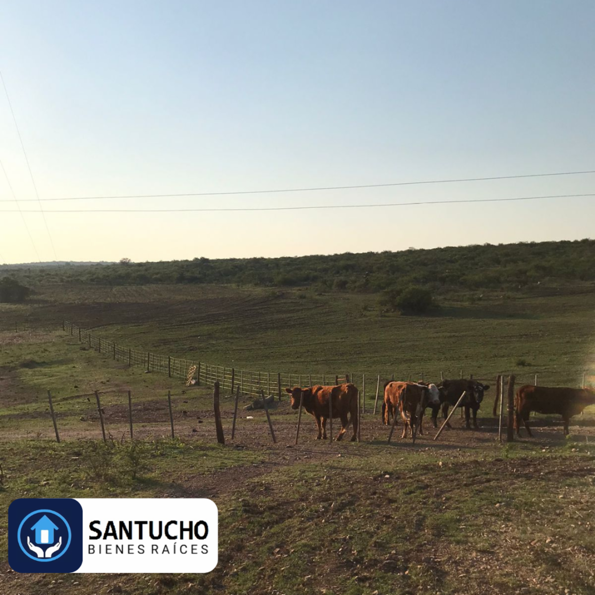 ATENCIÓN/ CAMPO EN VENTA: CASA PRINCIPAL + GALPÓN + 18 HAS - 37