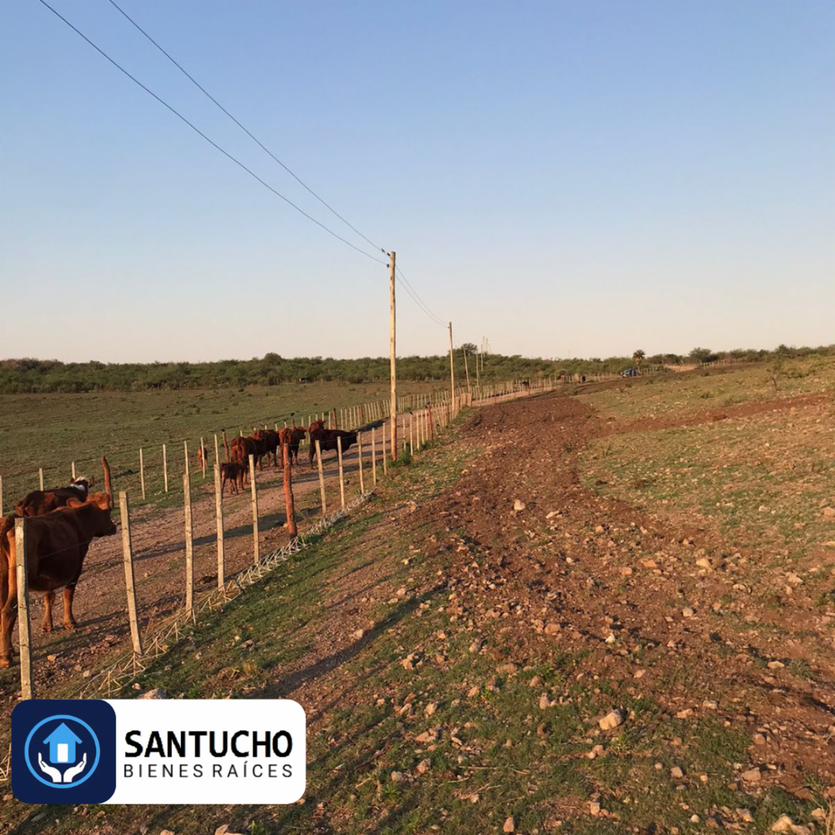 ATENCIÓN/ CAMPO EN VENTA: CASA PRINCIPAL + GALPÓN + 18 HAS - 39