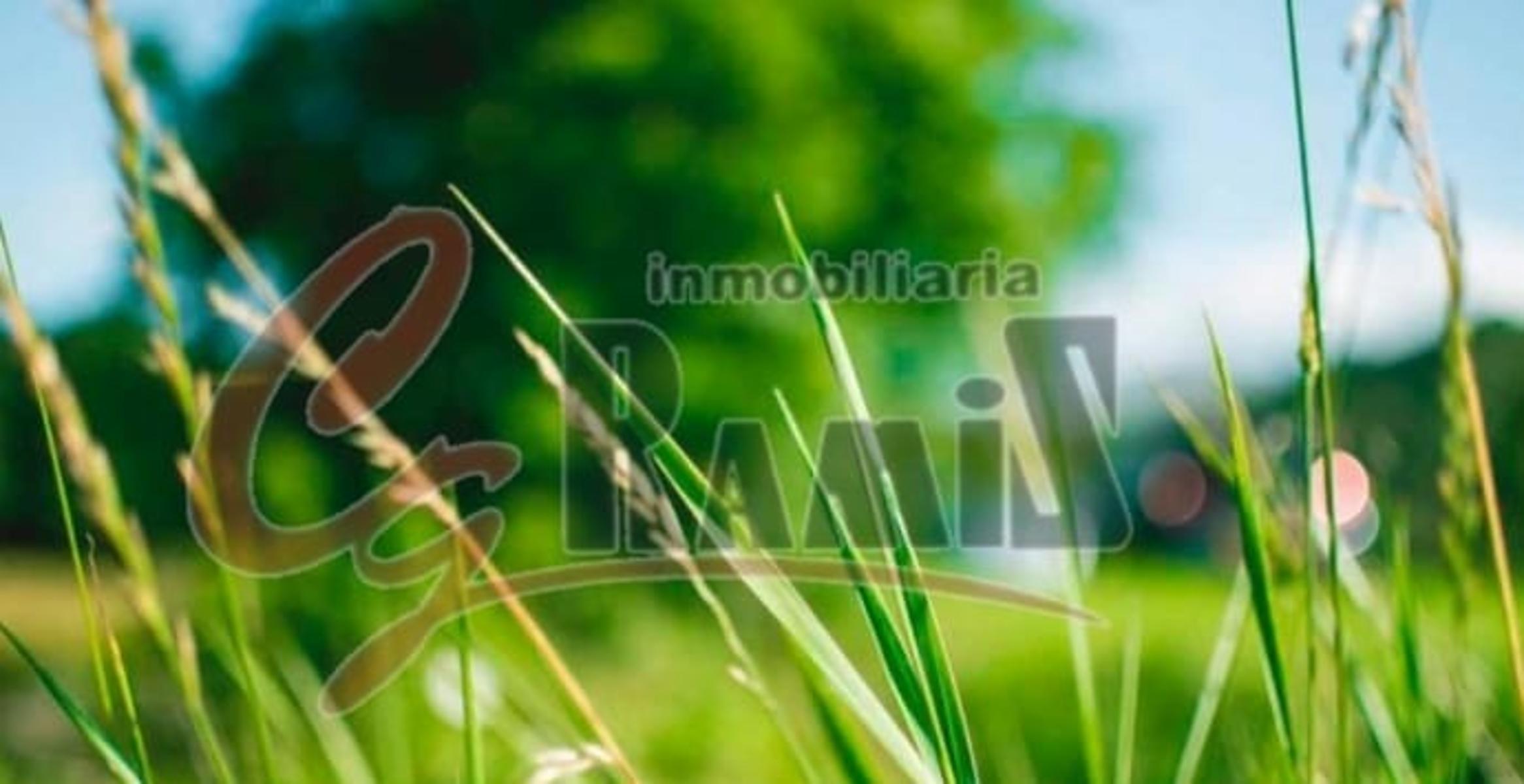 Lote Terreno En Venta 260m2, Jose Maria Paz 1500, ituzaingó — foto 2